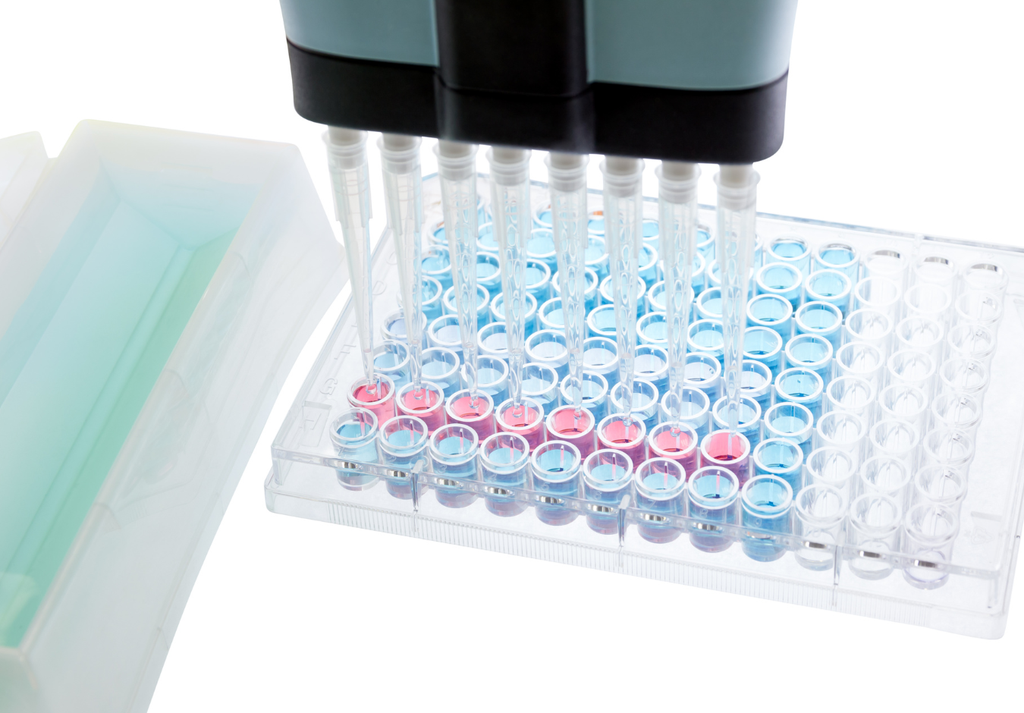  - Mouse GHRL(Ghrelin)  - Elisa Kit - Mouse - Elisa Kit