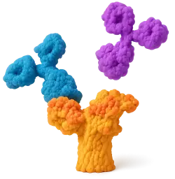  488 Rabbit anti-Monkey IgG2 (Fc) mAb (100 T)